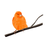 Canary on branch