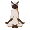 Meditating Siamese Cat