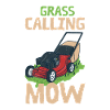 Lawn Mower Lawn Care