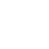 violon