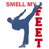 Karate, karate kyokushin, karate kick