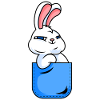 Rabbit in shirt pocket