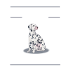 Dalmatian Dalmatiner