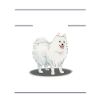German Spitz