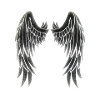Angel wings t-shirt gift idea