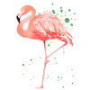 Flamingo, flamingo flamazing, costume da fenicottero