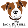 Jack Russell 3