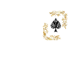 Ace of spades