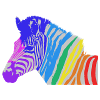 zebra