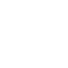Lotus Mandala