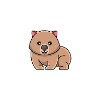 Team wombat