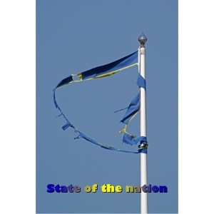 State of the nation Sweden 2020