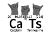 Katten Katten Chemie Chemicus Periodiek Systeem