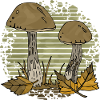 Pilze