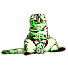 Cool green cat