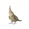 Cockatiels Are My Spirit Animal