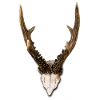 antler
