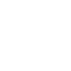 Military POLICE