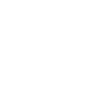 Military POLICE