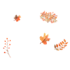 Autumn Vibes