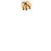 waffle
