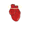 Heart Organ Symbol