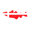 Langeland fishing Denmark cod