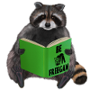 Raton laveur - Be freegan
