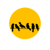 Birds on the line