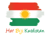 Haar Biji Koerdische vlag - Koerden Koerdisch Koerdisch