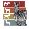 Zebra Zebra's Steppe Zebra Gift