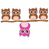 Sweet owls Be Different