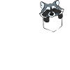 Cute raccoon in the pocket