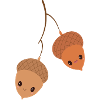 Acorns