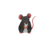 Crazy Rat Lady