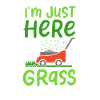 Lawn Mower