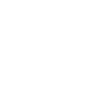 Chiens - crâne