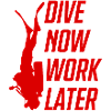 Plonger maintenant Plonger drôle