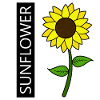 SUNFLOWER SUNFLOWER
