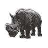 rhino