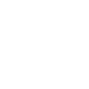 Yorkshire Terrier Hund
