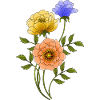 Fleurs