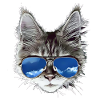 chat cool