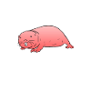 Naakte molrat