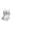 Katzenhaare