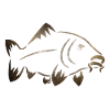 Carp Logo Fish Carphunter