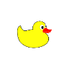 Rubber duck