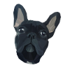GEOMETRIC FRENCH BULLDOG