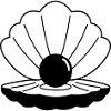 shell 02