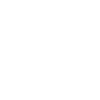 Womosapiens Wohnmobil Evolution